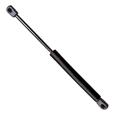 Gas Spring For Mechanism
